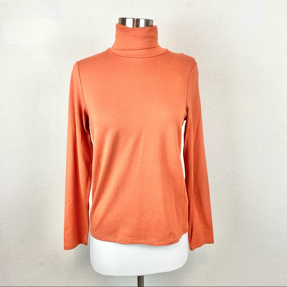Sigrid Olsen Sport Turtleneck Rust Long-sleeve Top